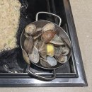 드림크래프트(Dream Craft) | [도쿄] 3일차 코스 (디즈니씨/모헤지) ... 내돈내산 🩵