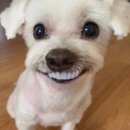 우리마트월성점