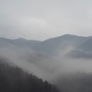 새로이농장 이미지