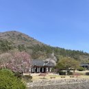 진도 운림산방 | 전남 진도 운림산방 관람 후기｜입장료·관람시간·주차 역사 여행코스 총정리