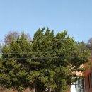 봉화농협주유소 이미지