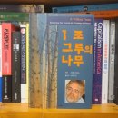 그루 이미지