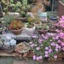 휴게음식업영업주 위생교육 이미지