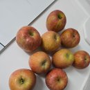 정인농장 이미지