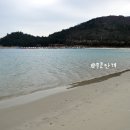 통리 솔밭해변 이미지