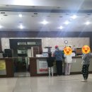 보보스랜드 이미지