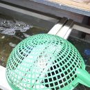 대한수산 이미지