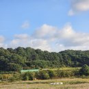 능포마을안길3 | 가볼만한곳🤍_경북 경주 월정교 with 경주교촌마을, 카페 교동석등있는집 이용 후기!!