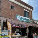 남애서핑클럽 | [강원/양양] 남애서프클럽에서 서핑 입문 강습 받은 후기