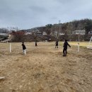 삼탄유원지화장실(1) | 충주 삼탄유원지 백패킹