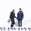 불타는청춘 이미지