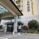 호수펫 | 나주 중흥골드스파앤리조트 애견동반 펫룸 19평 내돈내산 후기 / 4월 마지막 여행