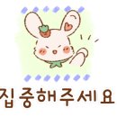 티아이피 이미지