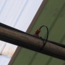 람세스한우농장 이미지