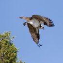 시가 있는 저녁 이미지