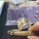 오티콘보청기 강화센터 이미지