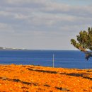 신풍목장 이미지