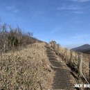 제주싸이클 Daum카페