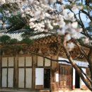 지리산미소가 이미지