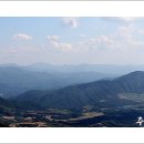 비무장지대 이미지