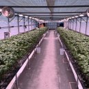 보광이네 이미지