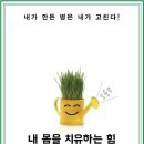 나쁜 것도 소량이면 몸에 도움이 된다 이미지