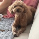 [일상] 가산디지털단지 직장인, 아니 노예의 한주
