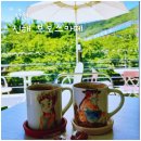 보보스카페 이미지