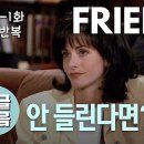 Friends 1 이미지