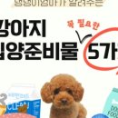 롯데리아롯데마트의왕점 이미지