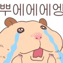 진주성로 이미지