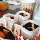 진로목장 이미지