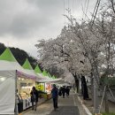 공단할인마트 | 5인 가족 4만원으로 다녀온 청풍유스호스텔 이용후기, 제천 청풍벚꽃축제