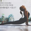 오엠지푸드 이미지