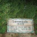 밤두둑농원