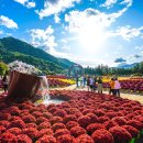 용대관광지2 이미지