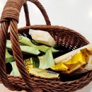 상주 드림키즈풀빌라 | 상주 여행 추천💖 드림키즈풀빌라 스파풀 솔직 후기