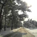 쌍용아파트 건너편 이미지