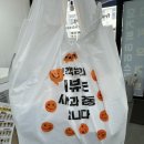 요거트퍼플영주