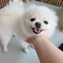 하티스트미술교습소 이미지