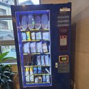 홀리데이인 리조트 알펜시아 평창 슈페리어 패밀리트윈 아이와 숙박 후기