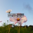 보답 행정사 이미지