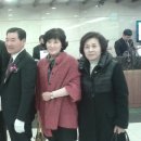 정수선 - 은평구 불광로 87 | 정수선