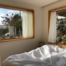 하귤스테이 이미지