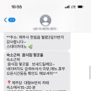 스테이 까미노 이미지