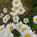 나절로미술관 이미지