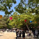 불국사 | 경주 가족 여행 - 경주 불국사 다녀온 후기