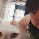 메가게임장 이미지