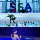 플랙스 9 (FLEX 9) | 강릉 세인트존스 호텔 인피니티풀 프리패스 편의시설 편의점 위치