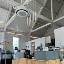 오셀롯PC강릉교동점 | 강릉 교동 브런치 카페 "세레니타" 내돈내산 솔직후기